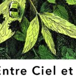 EXPOSITION DE SELÇUK DEMIREL «ENTRE CIEL ET TERRE »